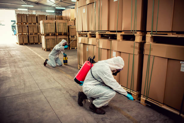 Best Pest Prevention Services  in Plymouth, MN