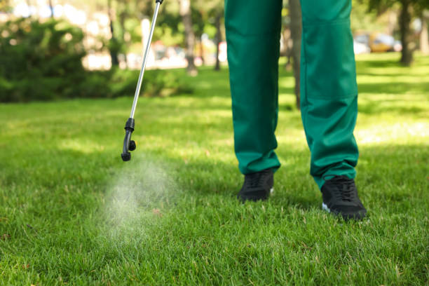 Wasp Removal Services in Plymouth, MN