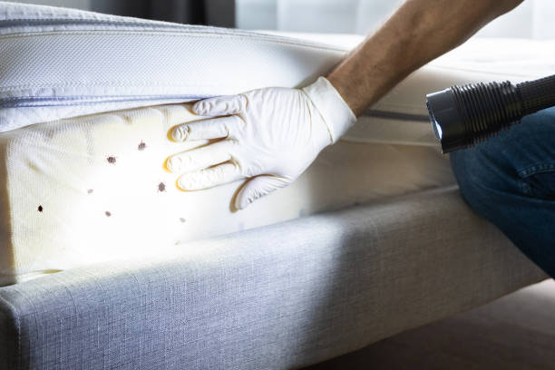 Best Best Pest Control Companies  in Plymouth, MN