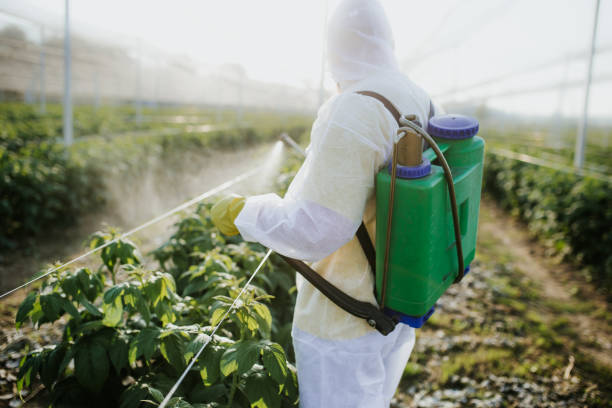Best Residential Pest Control  in Plymouth, MN